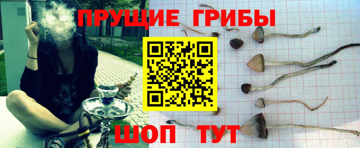 Новочебоксарск  Галлюциногенные грибы Psilocybine cubensis  Вход с VPN  Псилоцибиновые грибы ЛСД 