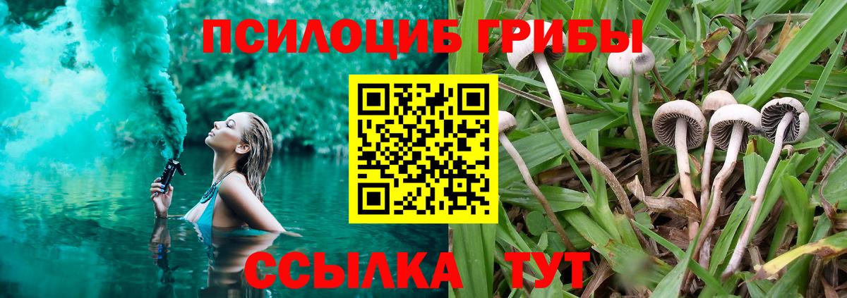 Псилоцибиновые грибы MAGIC MUSHROOMS Новочебоксарск